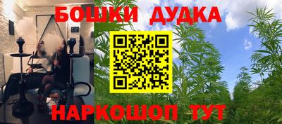 скорость Будённовск